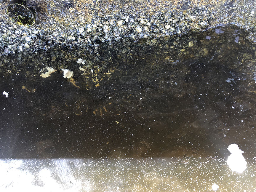 Underwater seawall face inspection showing erosion damage